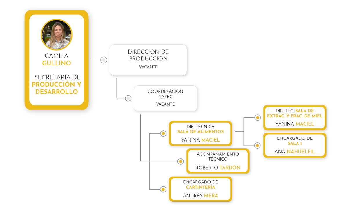 organigrama