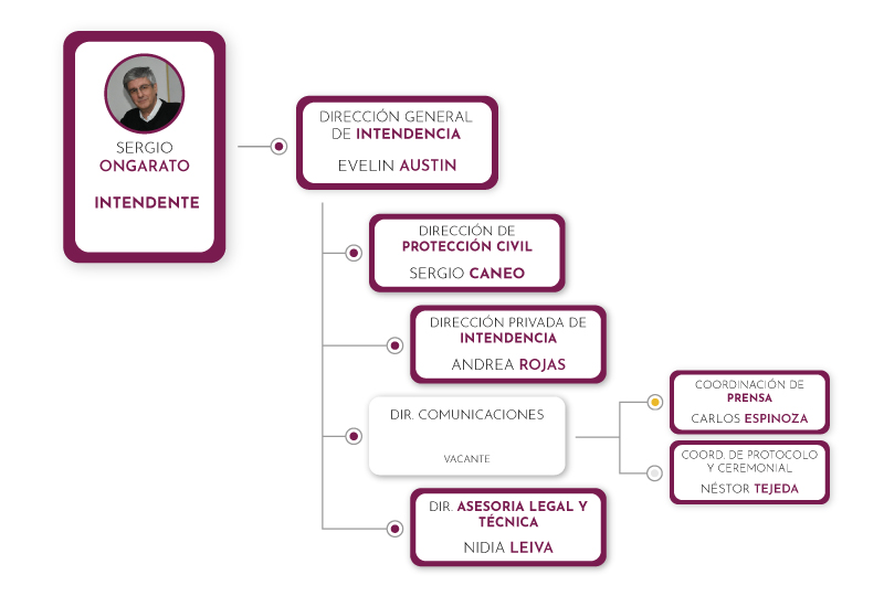 organigrama